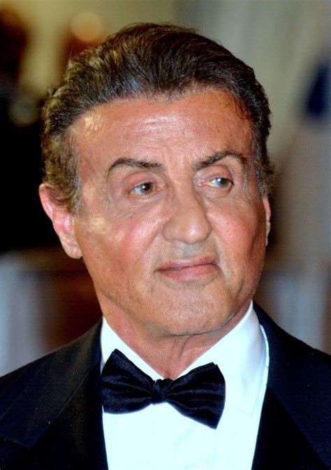 sylvester stallone wikipedia|sylvester stallone age 50.